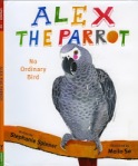 alex_the_parrot
